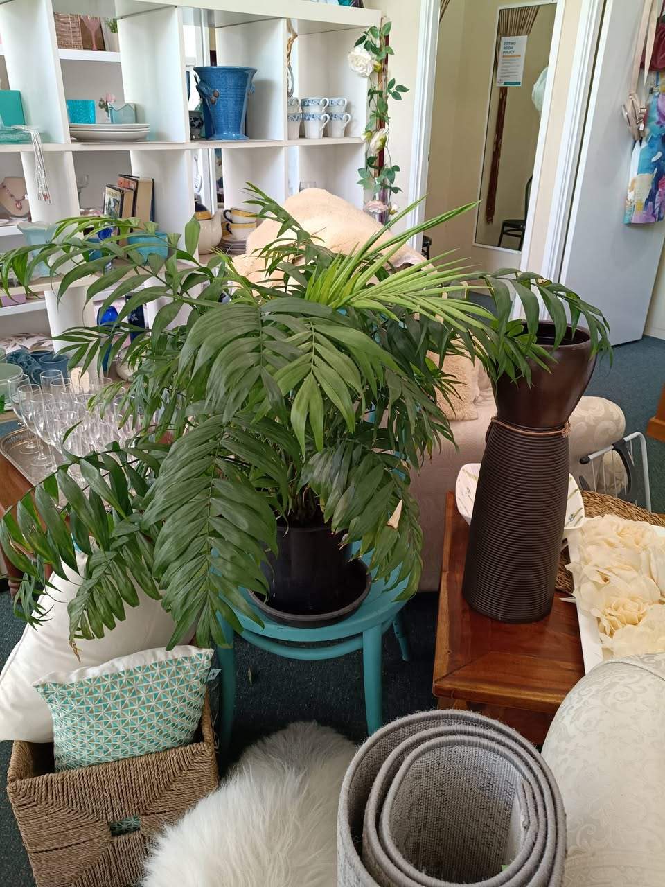 Bloomhill Op Shop Brightwater
Check out our latest stock