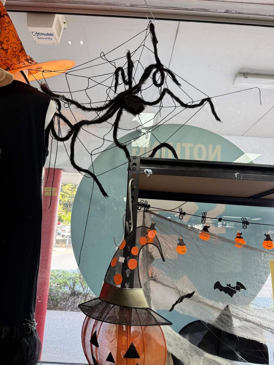 HALLOWEEN HAS ARRIVED AT MARGATE $3 OP SHOP
Get in quick to grab a bargain with nothing over $3!