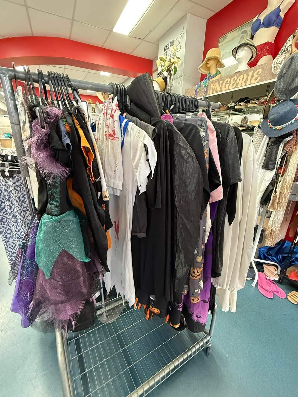 HALLOWEEN HAS ARRIVED AT MARGATE $3 OP SHOP
Get in quick to grab a bargain with nothing over $3!