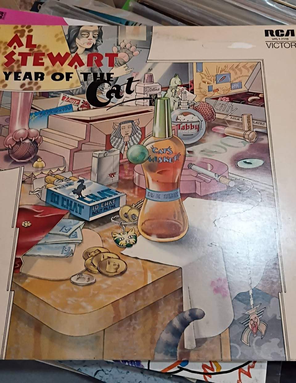 Where's the DJ ?
We dont know
rexobeatz is busy
But we have a crate of awesome vinyl records in our shop on Tuesday afternoon .
Fresh stock ,fresh sounds ,fresh dancing
#vinylrecordsfoundinopshops
#vinylrecords
#records
#FreshStock
#music
#WorldOpShopDay
#opshopgold