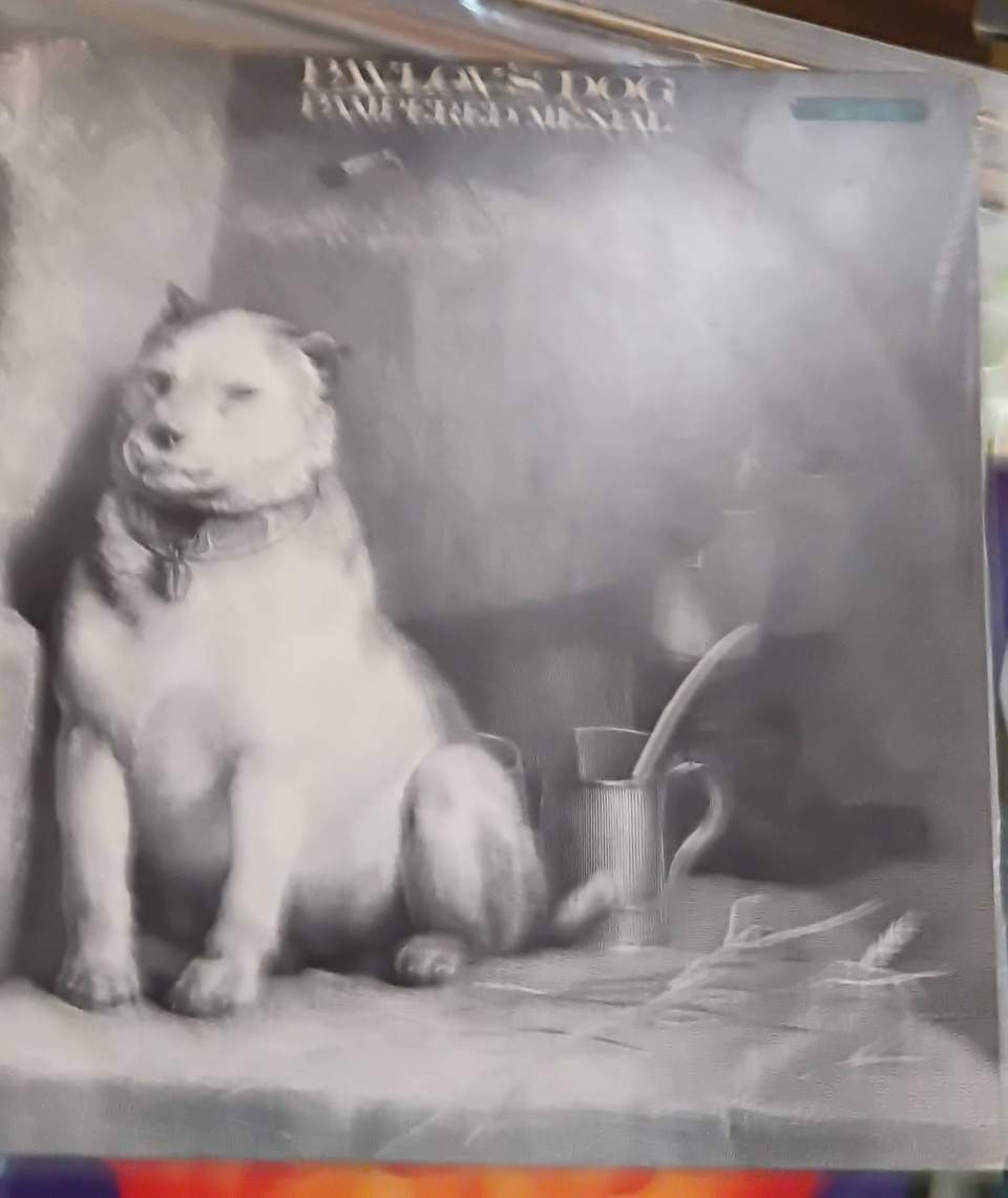 Where's the DJ ?
We dont know
rexobeatz is busy
But we have a crate of awesome vinyl records in our shop on Tuesday afternoon .
Fresh stock ,fresh sounds ,fresh dancing
#vinylrecordsfoundinopshops
#vinylrecords
#records
#FreshStock
#music
#WorldOpShopDay
#opshopgold