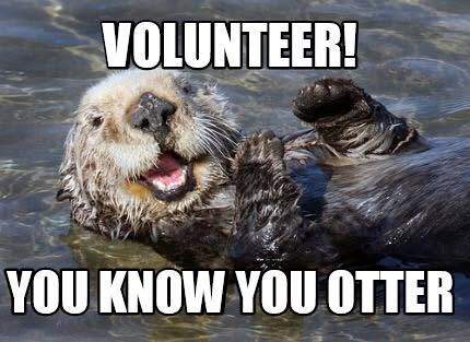 Flashback. We are always looking for volunteers. Drop in and fill out a volunteer form to get started.

We are looking for a Team Leader Volunteers.   You would be responsible for the successful daily operations with the purpose to deliver high levels of customer service and manage the volunteer workforce along with the daily money management & be required to attend 9.45am to 4.30.  The day is negotiable.
WWC & Police check required.
Training will be provided. Contact Dora or Michelle