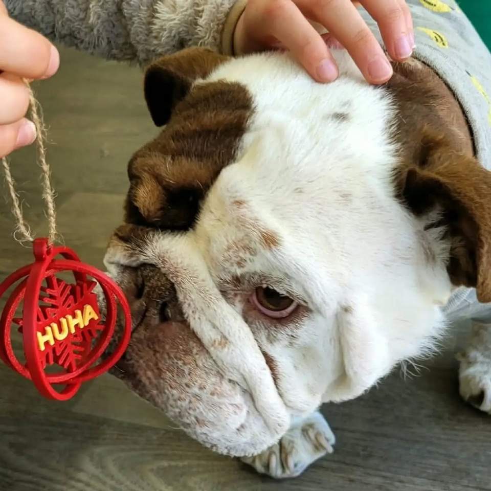 We have had the very talented Emily attending one of our Behind The Scenes Tours last week during her school holidays.
Emily is making 3D printed HUHA Christmas decorations and selling them for $5 each. Half the proceeds of her sales will go to HUHA and the other half to Alzheimers NZ.
You are just awesome Emily and your decorations are super cute - and they even have Dennis's seal of approval
.
If you'd like to purchase one of Emily's decorations please email to prints4charity@gmail.com
#happyhuhadays #sanctuarylife #DennisHUHA #cuteanimals #Dog