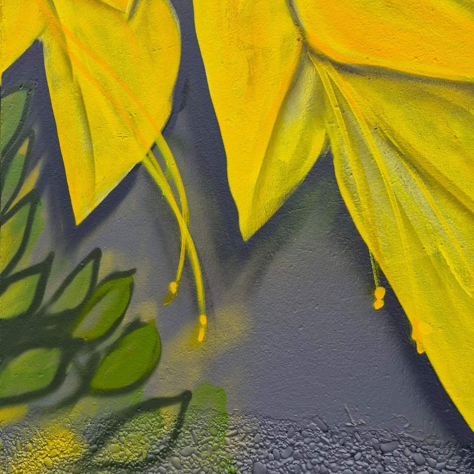 Little snippets of something very exciting taking place at Reloved! Watch this space for more...
With thanks to the incredible artistic talent of DEOW and funding from the Invercargill City Council Community Wellbeing Fund.