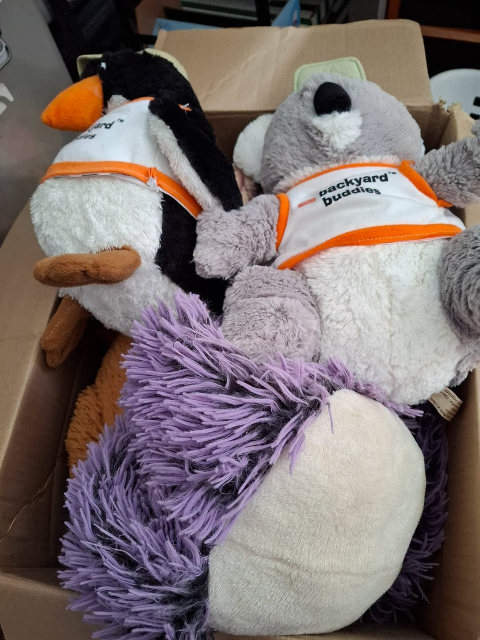 Dog owners lucky day. Free toys for furry pals