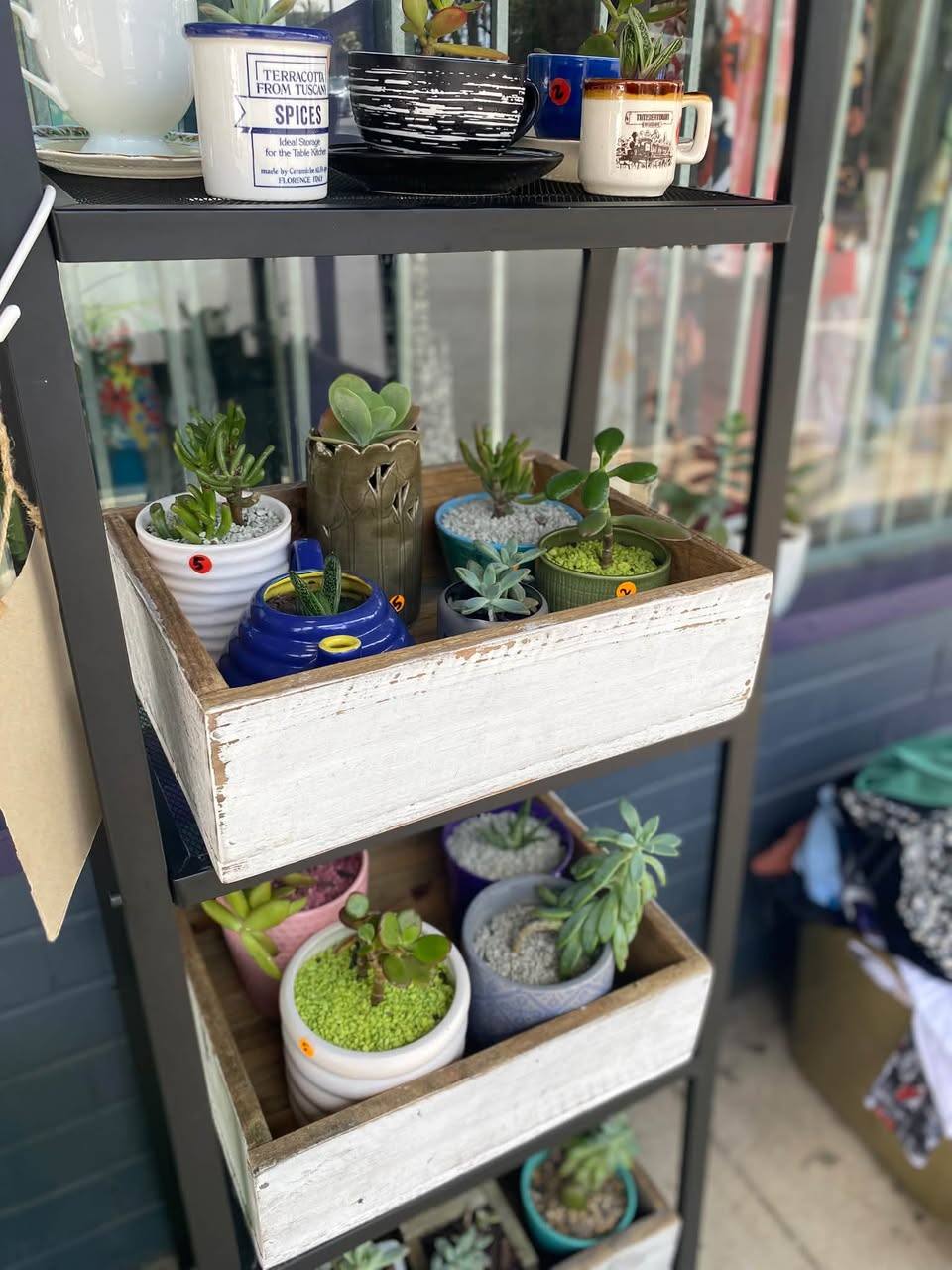 Photo from Amity Place Thrift Shop Keperra