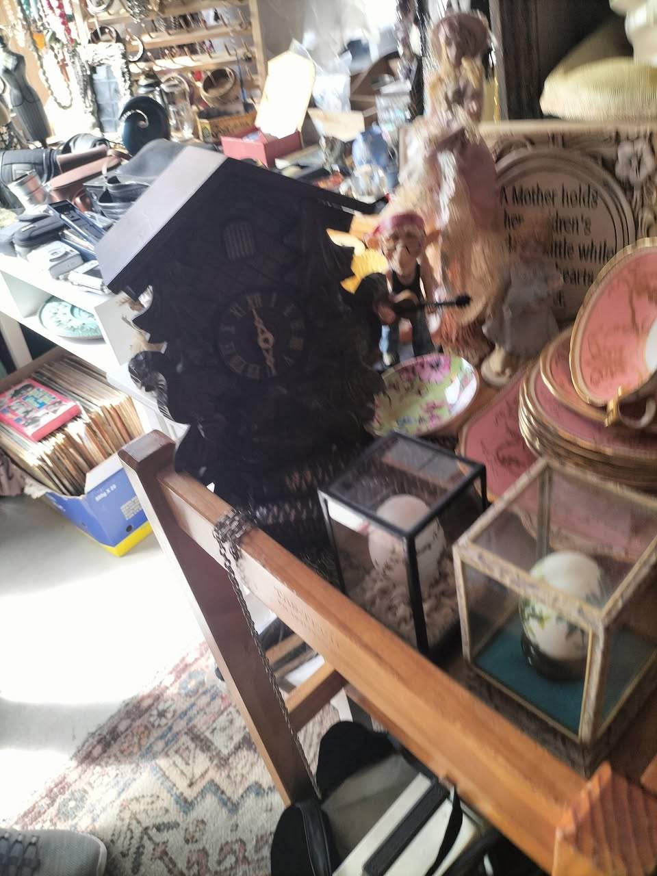 Our popup shop has been restocked with lots of treasures we will be open Saturday 10 till 1pm and sunday 12 to 3pm  eftpos available .All money raised goes to maintaining the koha shed and  our upcoming Christmas event . Thank you for your ongoing support