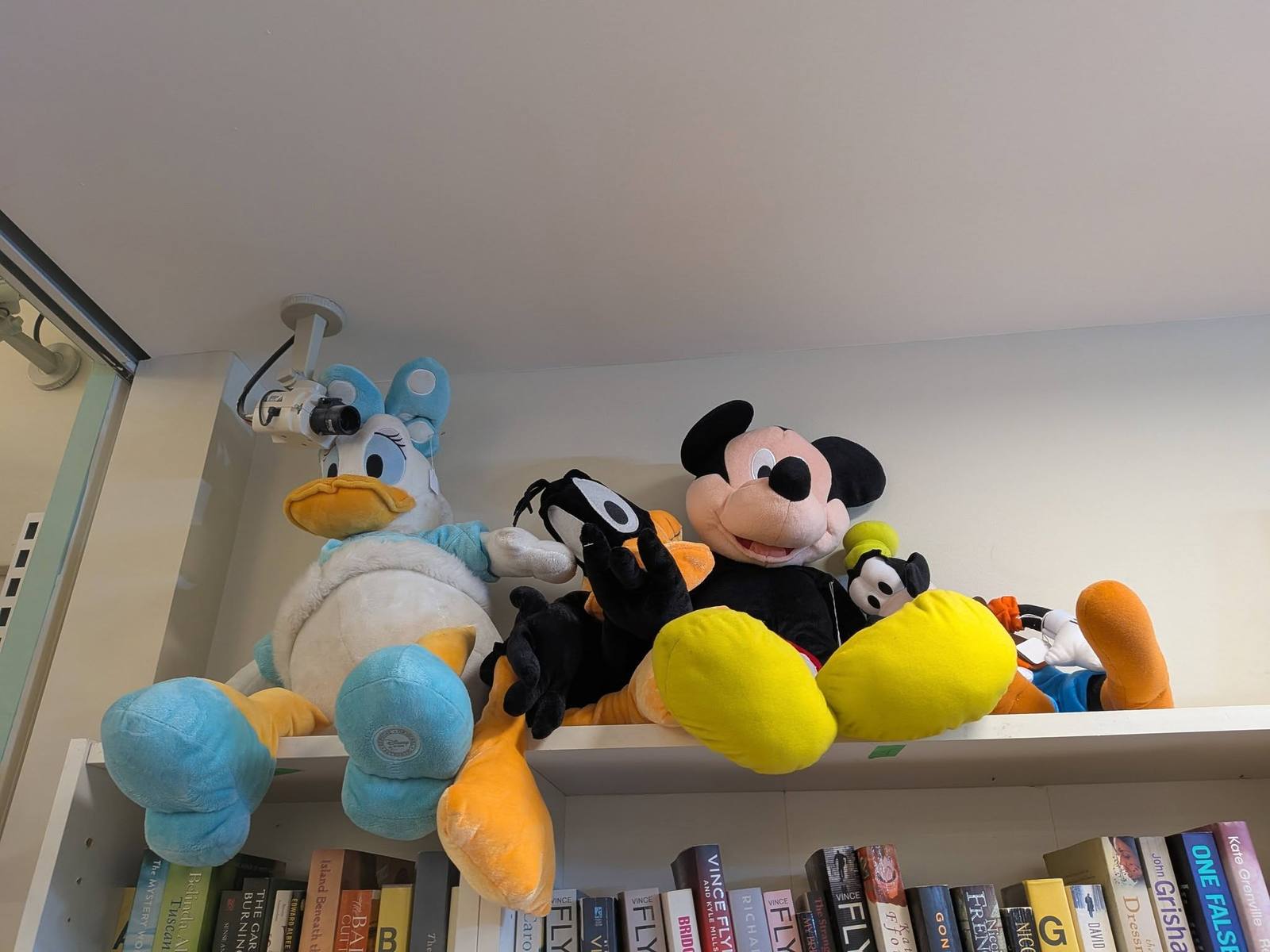 Photo from AAPS Op Shop Hampton