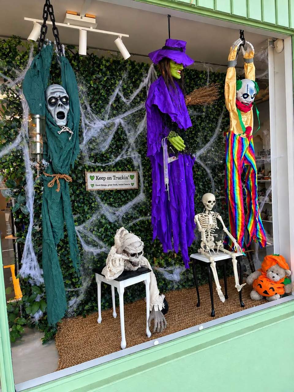 HALLOWEEN HAS HIT HEART SPACE!
Have you seen our spooky Halloween window? Our volunteer Fleur has gone all out!
We’ve got Halloween goodies in store and we’d LOVE to keep adding to them!
 Have any unwanted Halloween decorations, costumes, props or spooky bits and pieces at home?
Bring them along to Heart Space! We’d be very grateful for your donations and will give them a second life.
 Halloween clothes $1 each
 Halloween decorations & items 50¢ unless priced
Thank you for helping us keep Halloween affordable for our community!
Donations welcome during opening hours — bring them to the front counter.