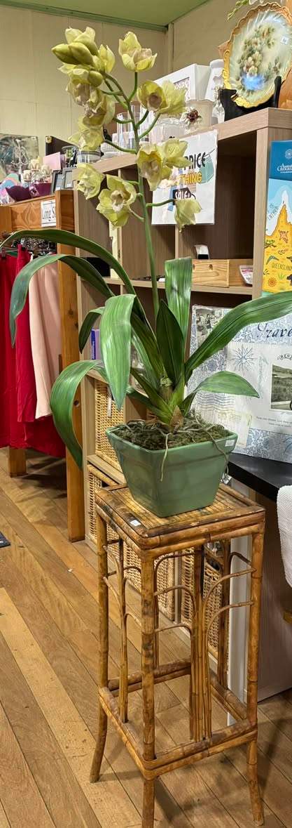 Goodies is jammed packed full of wonderful stock! Come in and grab a “goodie”, and don’t forget clothing is half price this week Happy shopping!