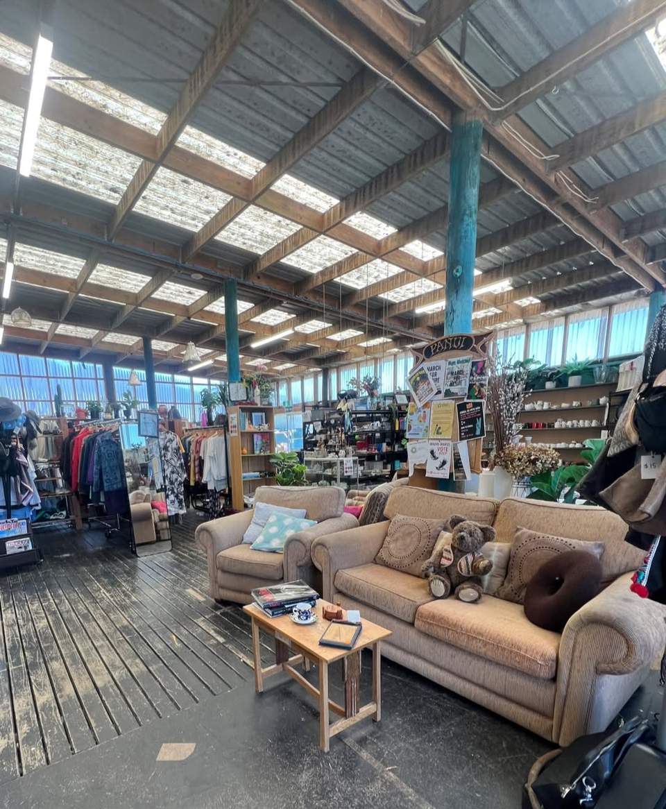 It really feels like Spring has sprung up at Site today!

Sun's out, team's vibing- even Matua is smiling
 ! Kaahu’s racks are full, and the DIY Yard is stacked with treasures.
We’re open until 5pm as always! Come and see us!
Enjoy the beautiful weather.