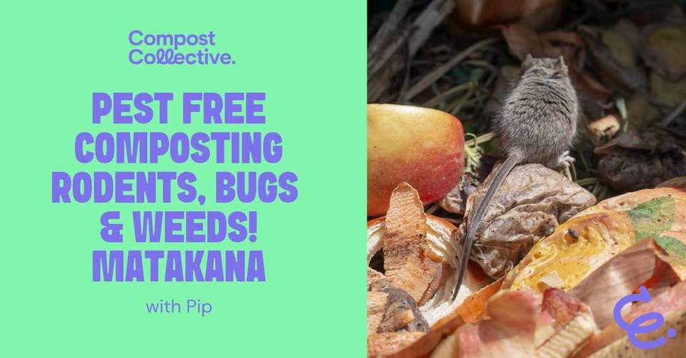 Join Pip for a fantastic master-class, no matter what system you use!  Bokashi, worm farm or compost, level up with this great workshop at the (small) Matakana Hall and Community Garden.  Brought to you by Mahurangi Wastebusters with support from Auckland Council, delivered by Compost Collective.
Click through to the link for full details.  Registration essential, don't miss out! https://compostcollective.org.nz/.../pest-free.../