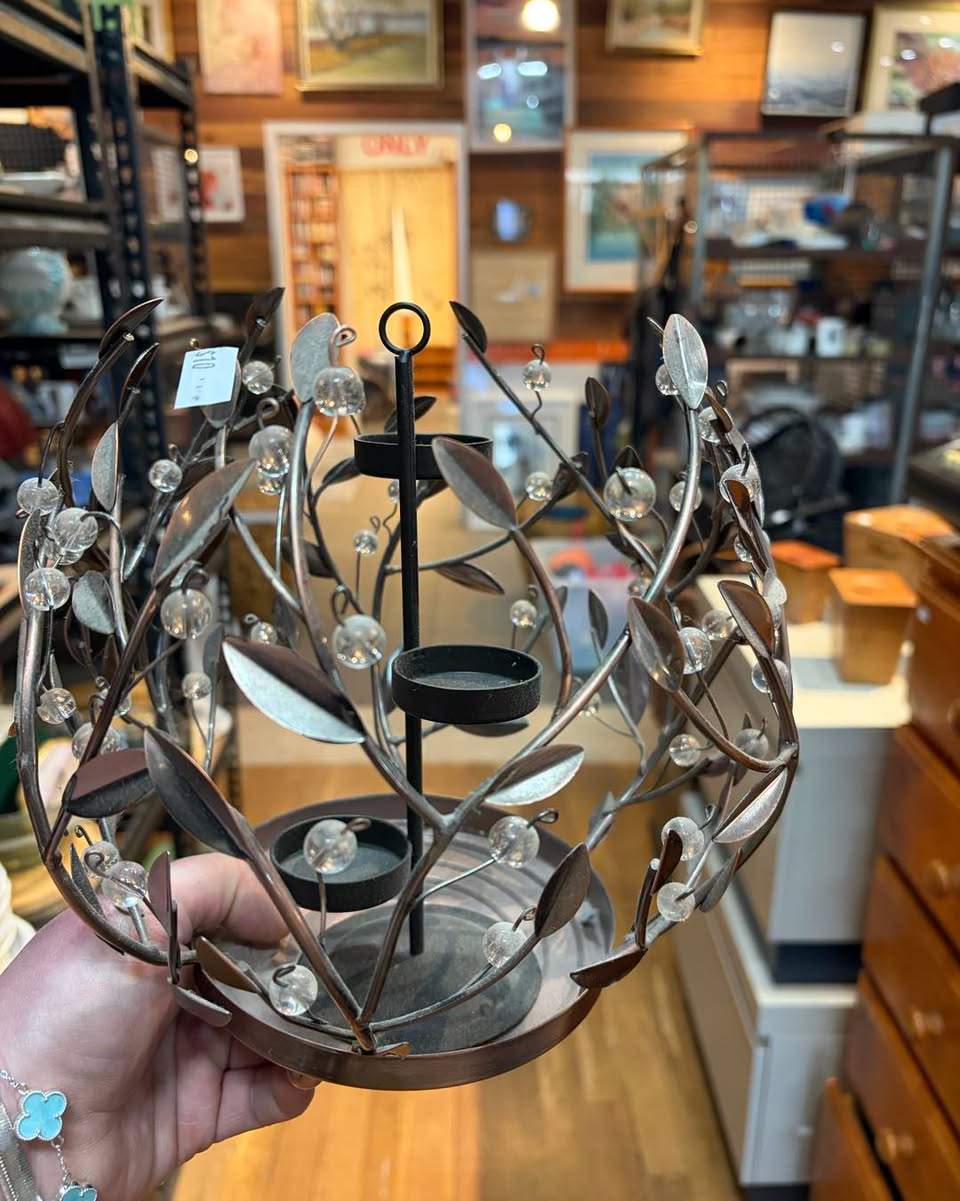 Fresh finds at the Shed