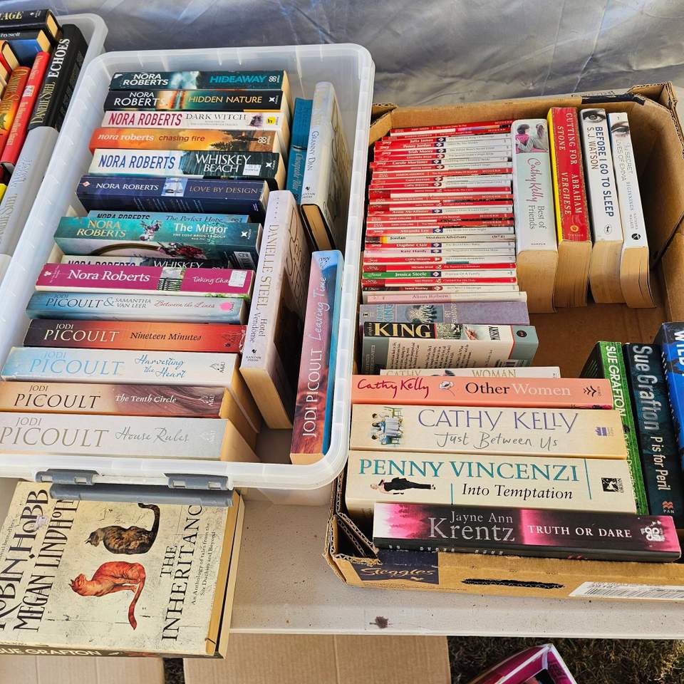 Esk Community Op Shop has a book stall at the Esk Hospital Centenary Fair from 10am to 2pm today, Saturday 29th August. Small books $1, all others $2. All proceeds to Esk Hospital. Photos are a small selection of what we have here! Cash preferred.