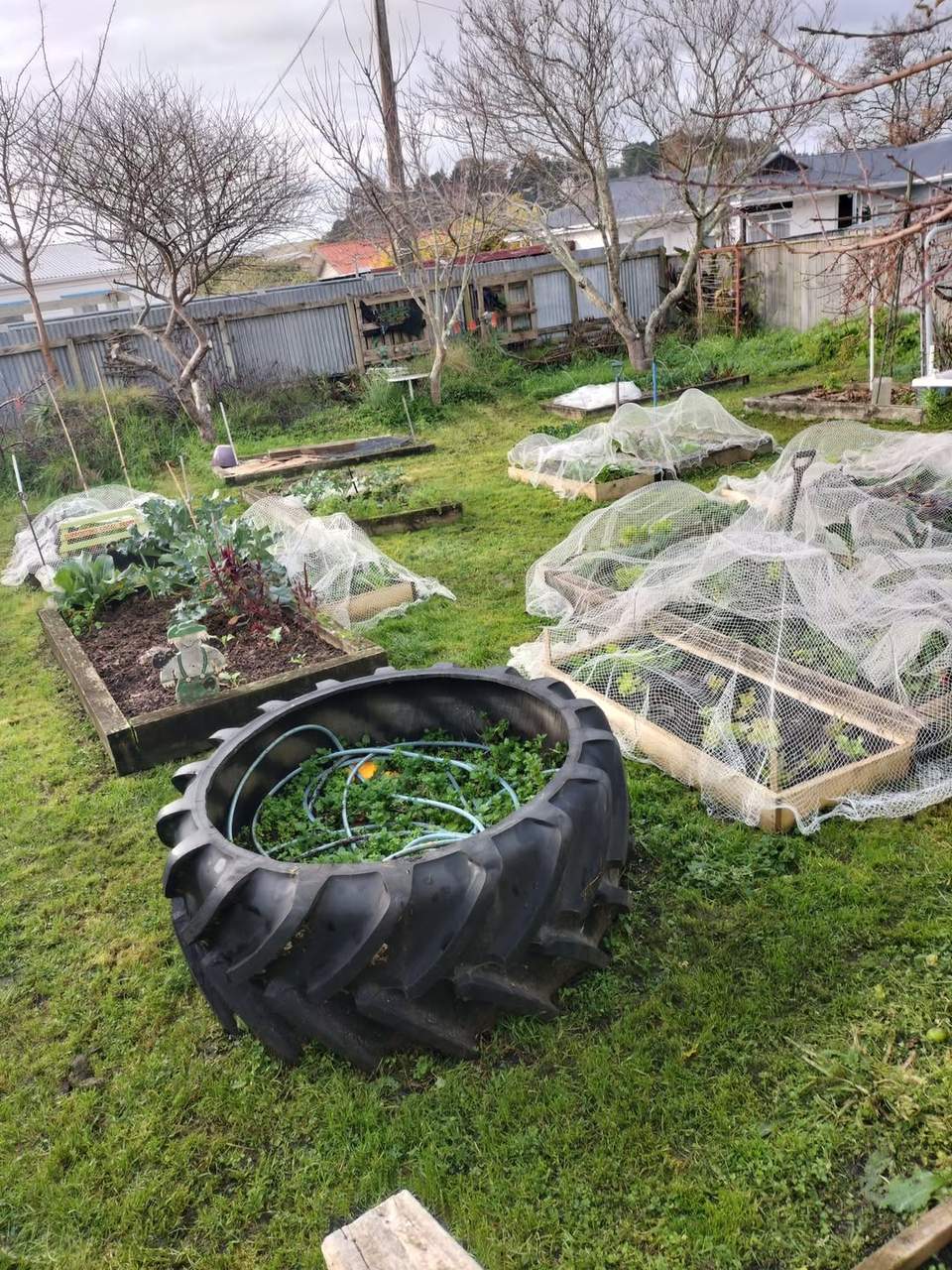 Our community fridge is open today at 1230 till 130 .We will have fresh veggies from our community garden and will be kindly stocked from Whanganui Kai Hub  .Their food rescue provides us and other groups weekly please bring a bag if you  are able .We appreciate all donations towards this cause . Pensioners struggle this week as they get paid fortnightly and have difficulty now making it stretch through the off week .Happy Monday