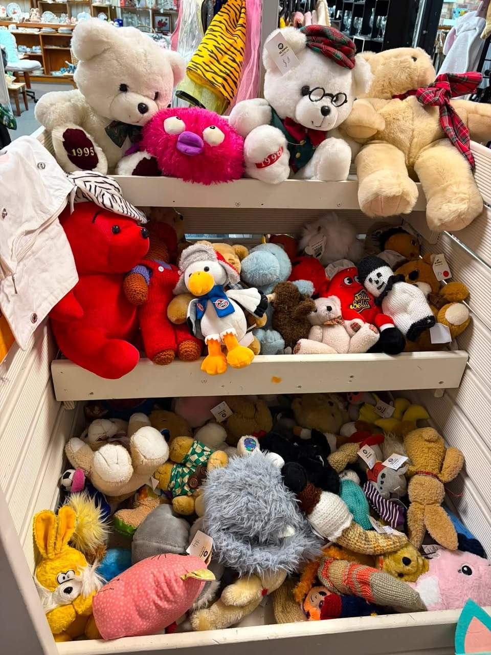 But wait there is more!
School Holidays are here, find that item/s to entertain the children