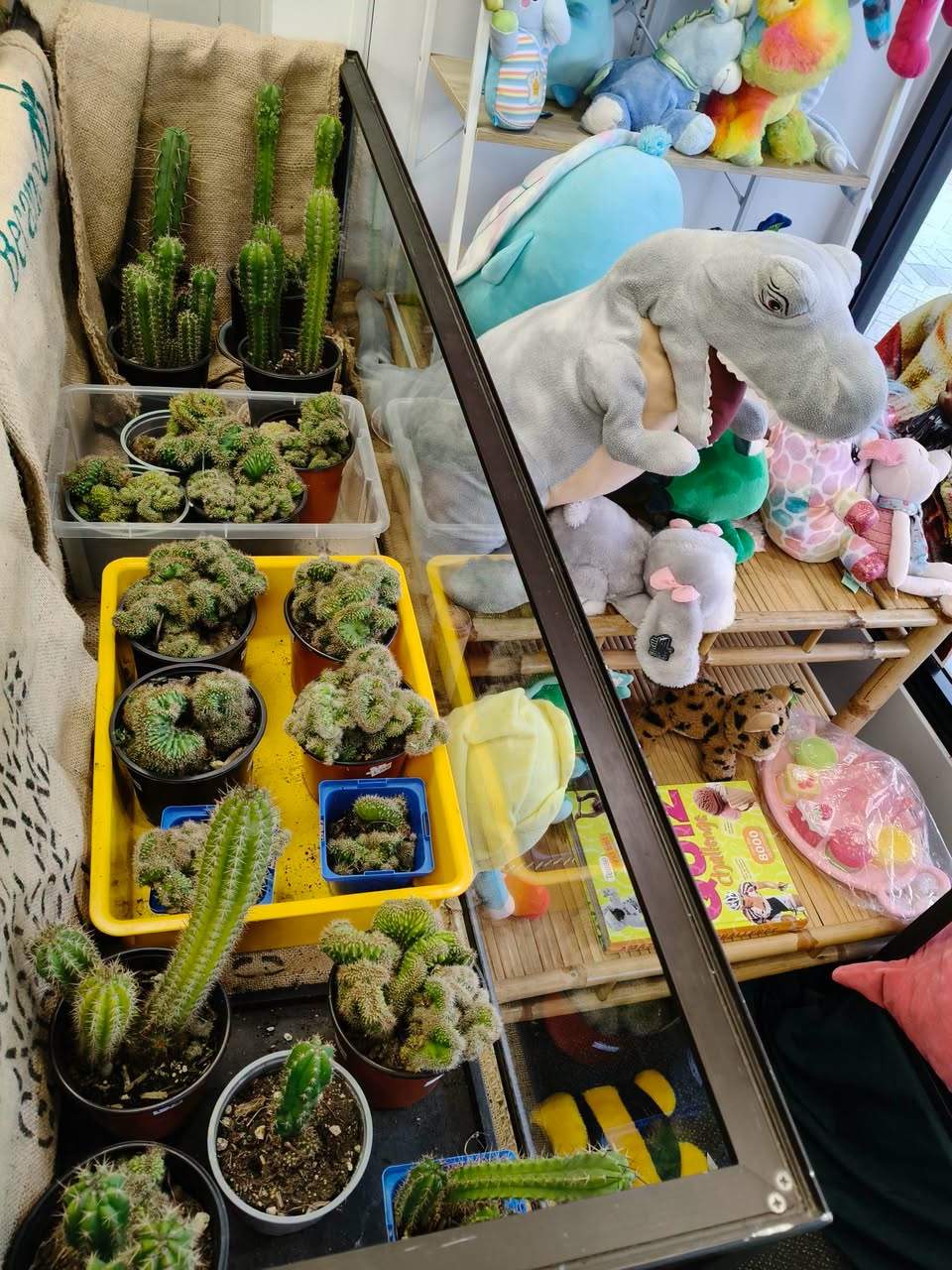It's a riot of colour in our windows this week and we've got some colourful goodies coming through for a blast of spring cheer on a drizzly day. Grey days are great for op-shopping and we've had some fantastic donations through and ready to go out in store!
If you're having a spring clean, clear out, tidy up or downsize, we'd love your good quality unwanted goods - especially children's books for the holidays, bags, belts, jewellery, clothing and bric-a-brac (the list goes on!) and we are incredibly grateful to all our wonderful donors)
We'd love to see you soon
