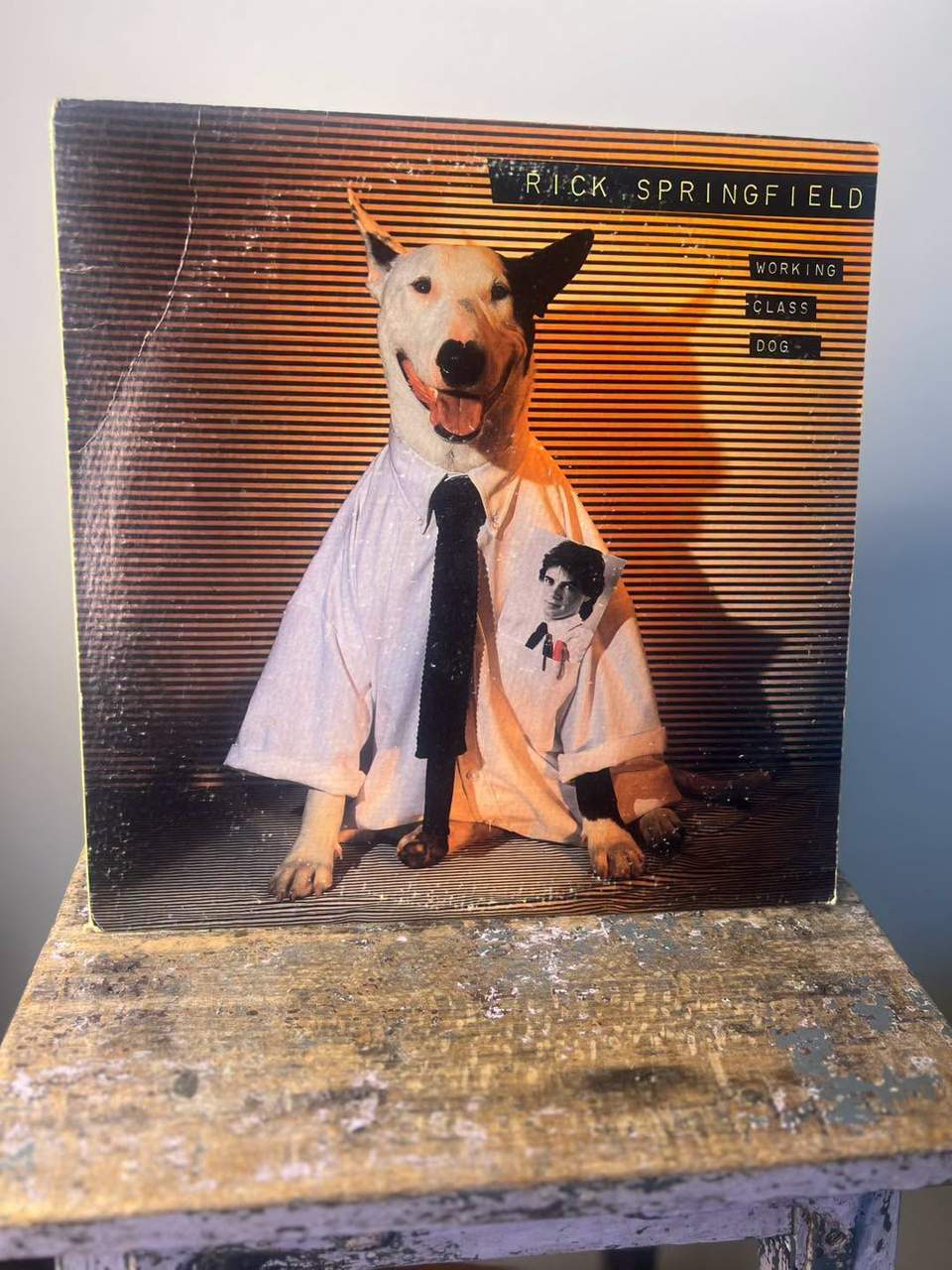 🔥 FATHER'S DAY WEEKEND RECORD SALE — TOMORROW! 🔥 The wait is over. Tomorrow from 9AM, over 300+ records hit the floor at Salamander Bay Recycling. 💿 Rare finds 🎸 Vintage classics 🎤 Iconic artists 🎶 Hidden gems Every record individually priced. No pre-sales. No holds. No sneak-ins. This is strictly first in, best dressed. Whether you're a serious collector or just love the thrill of crate digging, make sure you're through the doors when they open. 📅 Tomorrow ⏰ 9:00AM 📍 Salamander Bay Recycling Get ready to dig. The gems won't last long. When they're gone, they're gone. 🎶🔥