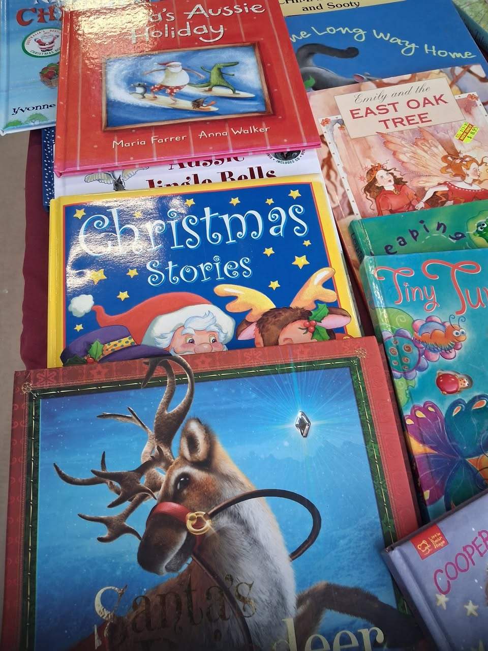 Bargains at the Salvos garage sale tomorrow. 7 Alfred St. Quality kids books 50c to 1.00. free books aa well. New shoes.
