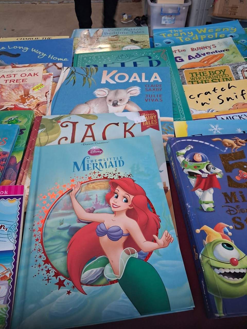 Bargains at the Salvos garage sale tomorrow. 7 Alfred St. Quality kids books 50c to 1.00. free books aa well. New shoes.