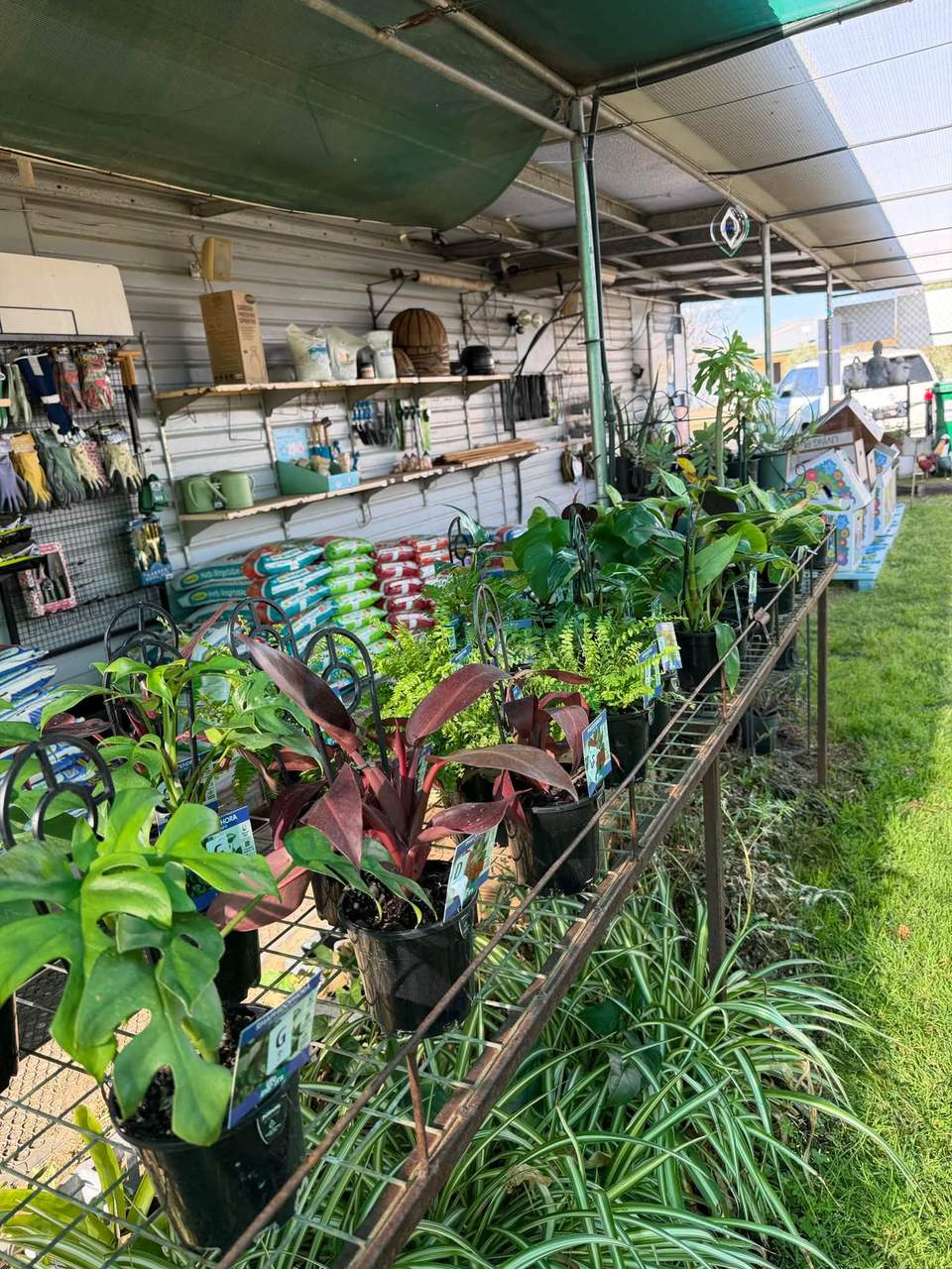 NEW PLANTS!!