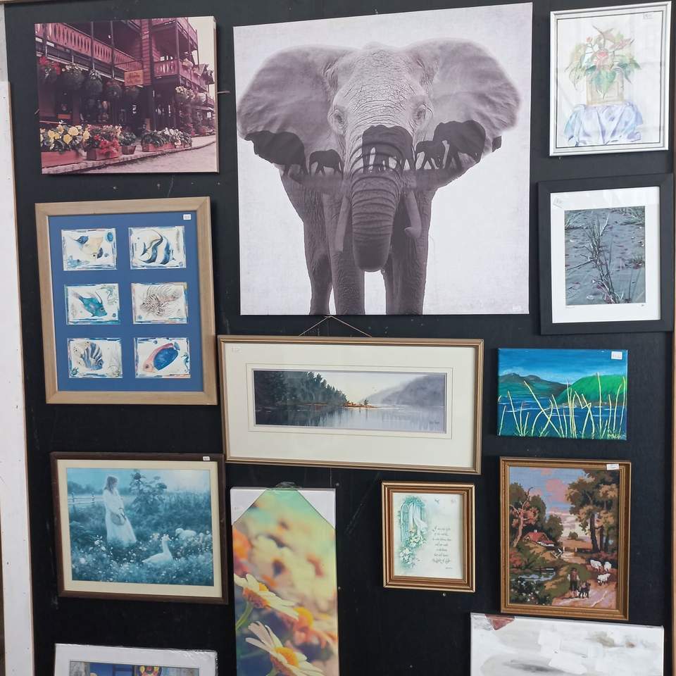 Sometimes all it takes is one piece to completely transform a room. Our wall art selection is constantly changing, with fresh finds arriving every week. Whether your style is classic, colourful, rustic or quirky, you never know what might catch your eye.
Drop in and see what's new in store. We’re open 9am to 3.30pm Tuesday to Friday, and 9am to 1pm on Saturday,
#OpShopFinds #Hamiltonopshop #BargainHunter #thrifting