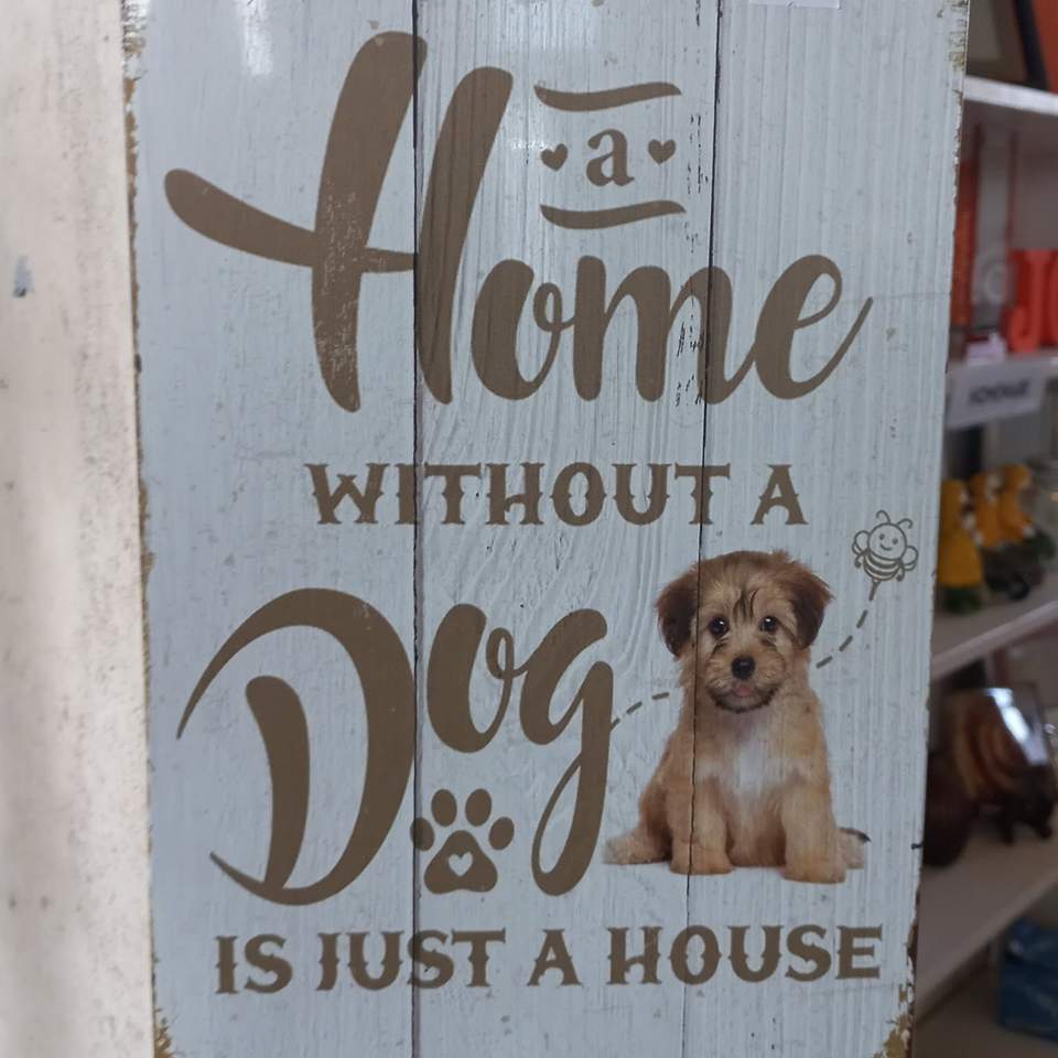Sometimes all it takes is one piece to completely transform a room. Our wall art selection is constantly changing, with fresh finds arriving every week. Whether your style is classic, colourful, rustic or quirky, you never know what might catch your eye.
Drop in and see what's new in store. We’re open 9am to 3.30pm Tuesday to Friday, and 9am to 1pm on Saturday,
#OpShopFinds #Hamiltonopshop #BargainHunter #thrifting