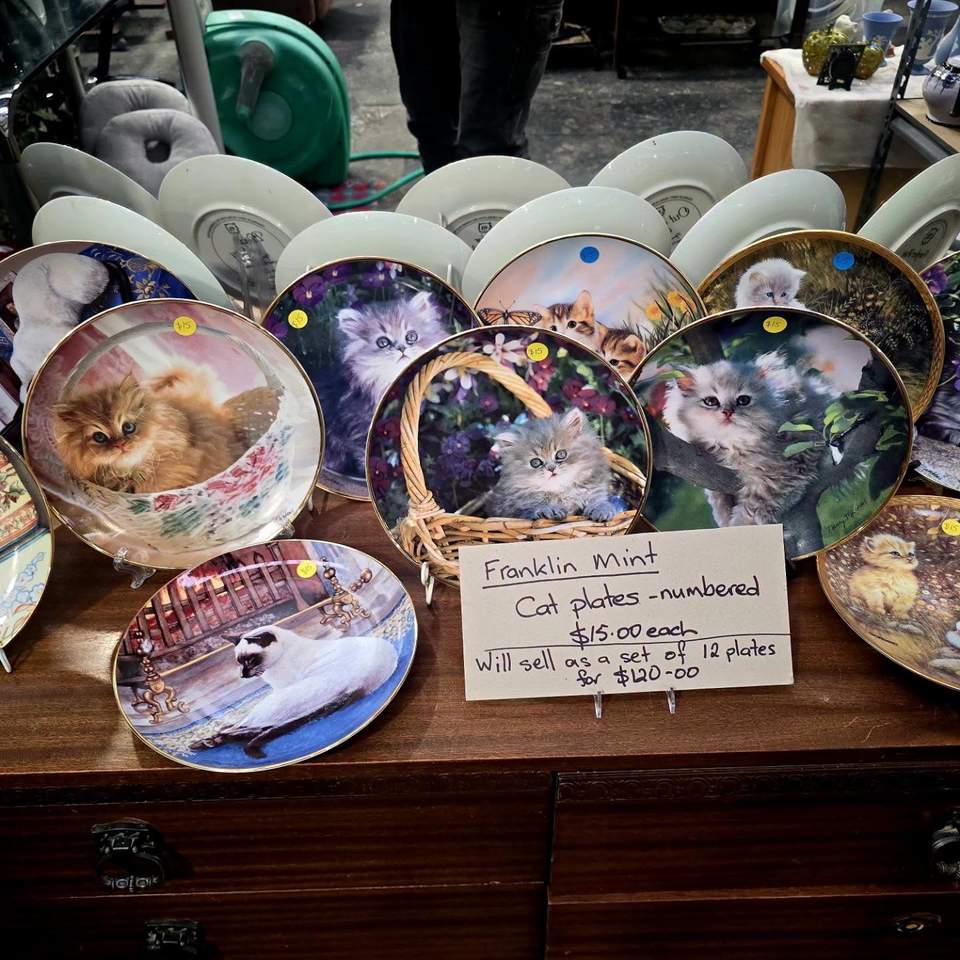 🙌Feel like a treasure hunt this weekend🌟✨️🎀🧸 Pop into one of our fabulous op shops where every dollar spent helps us save a life🐾 46-50 High St South, Carterton 4 Railway Ave,Upper Hutt 262 Jackon St, Petone 162 Cuba St, Wellington 208 Main Highway, Otaki And, If you are having a spring clean, we would love your pre-loved items🫶 Our shelter has never been so busy helping animals in need. So shop, donate or volunteer....and help us save lives 🥰 #shopwithpurpose #everyanimalmatters #togetherwecansavelives #opshop #recycle