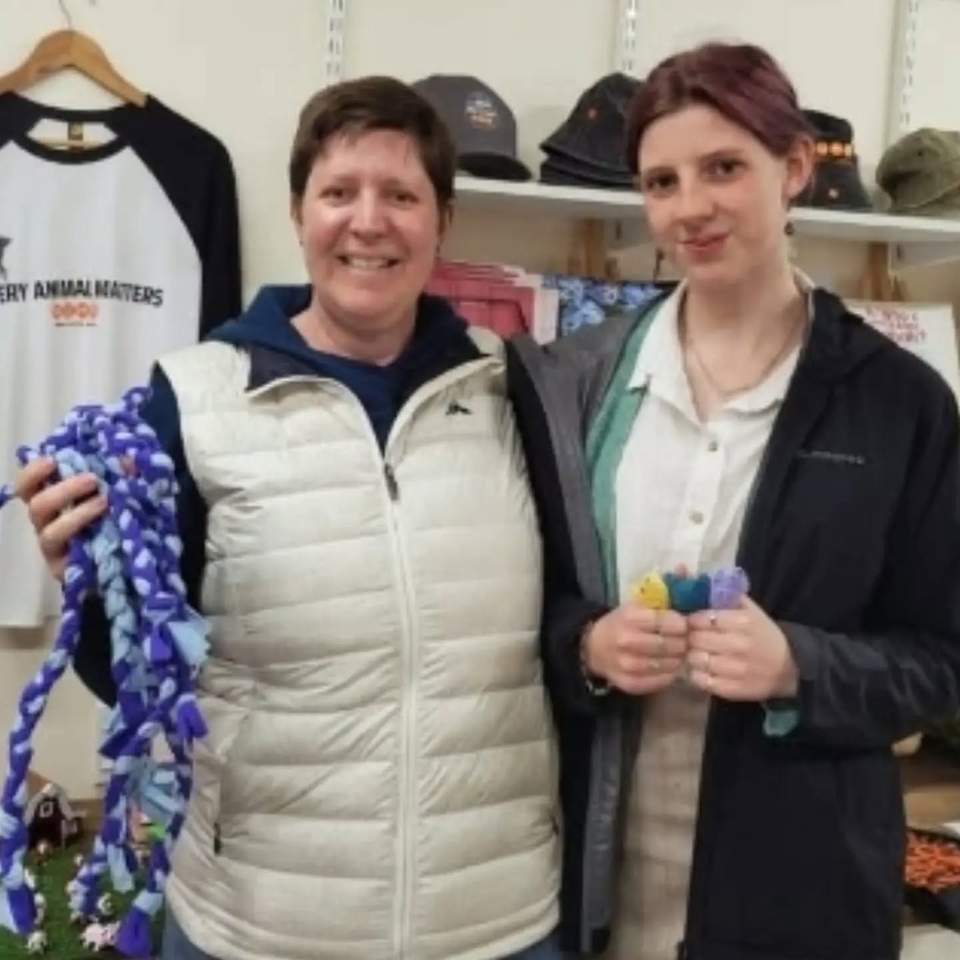 We love getting visitors coming up the hill to see us at the Haywards Shelter
......
On Saturday two of our young visitors who were booked on to the Behind The Scenes Tour, arrived with a bag full of amazing donations for our dogs and cats. As well as food,  they had also been busy crafting some very creative handmade dog toys.  Thank you, girls, for your thoughtful and much appreciated goodie bag
 ....we think you are fantastic
And if that wasn't enough, we then received a visit from the KauKau Rangers who presented us with a monetary donation and more wonderful,  handmade dog and cat toys
. Thank you Kau Kau Rangers, for all your hard work and devotion - our shelter dogs and cats are going to love them
#sanctuarylife #happyhuhadays #EveryAnimalMatters