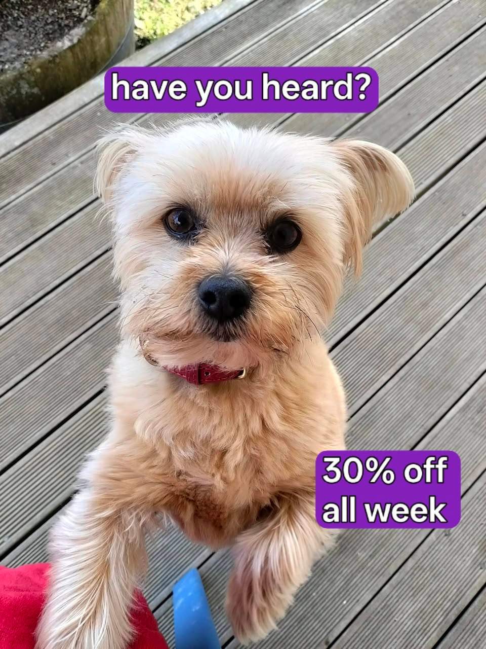 Save money. Buy cool stuff. 30% is a big discount.
Open 10am-2pm, or by appointment, every day except Monday at 2 Breakwater Road, Moturoa Shopping Centre.
