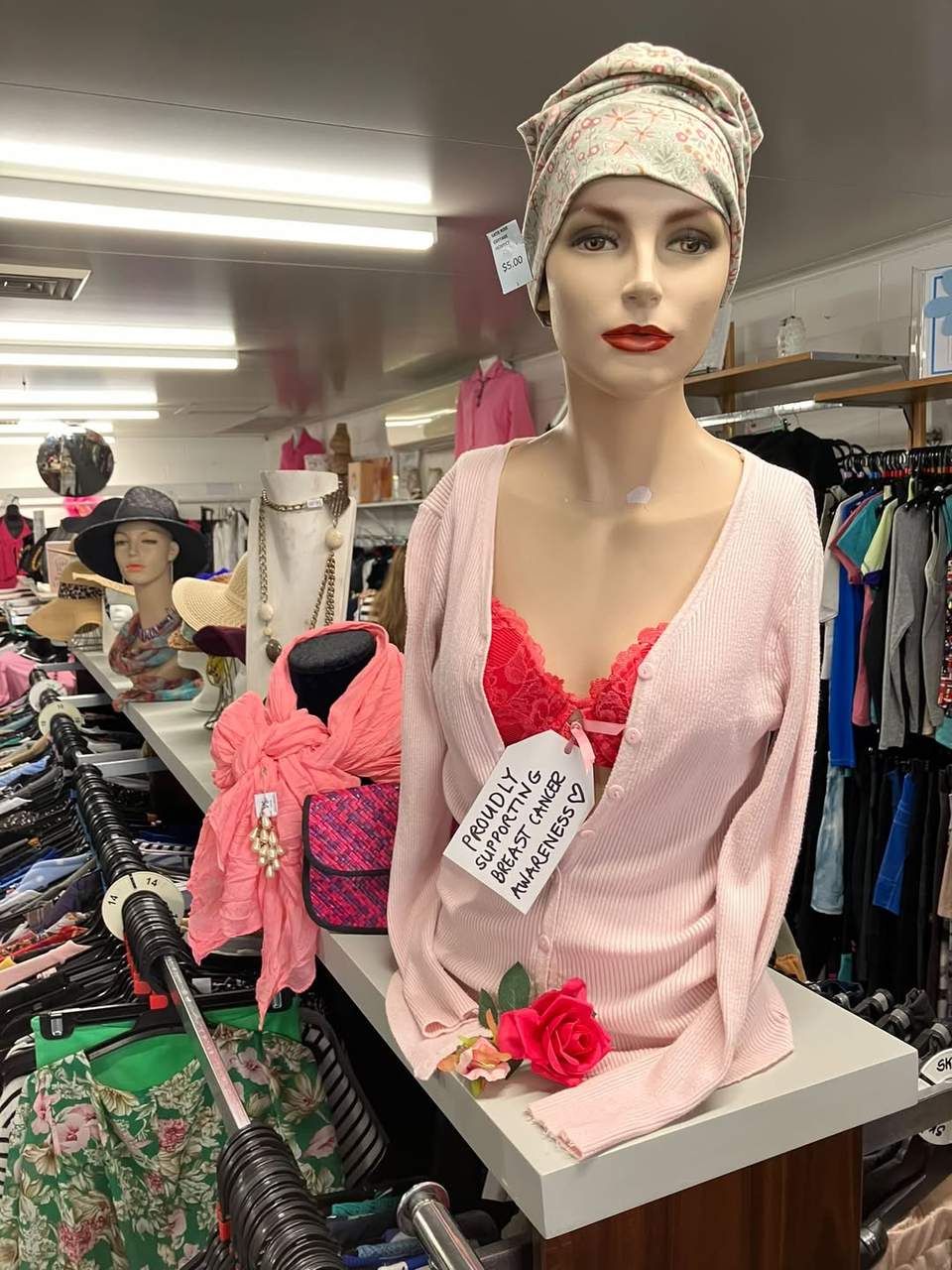 Our shop and volunteers are dressed in pink for pinktober- proudly supporting breast cancer awareness month.