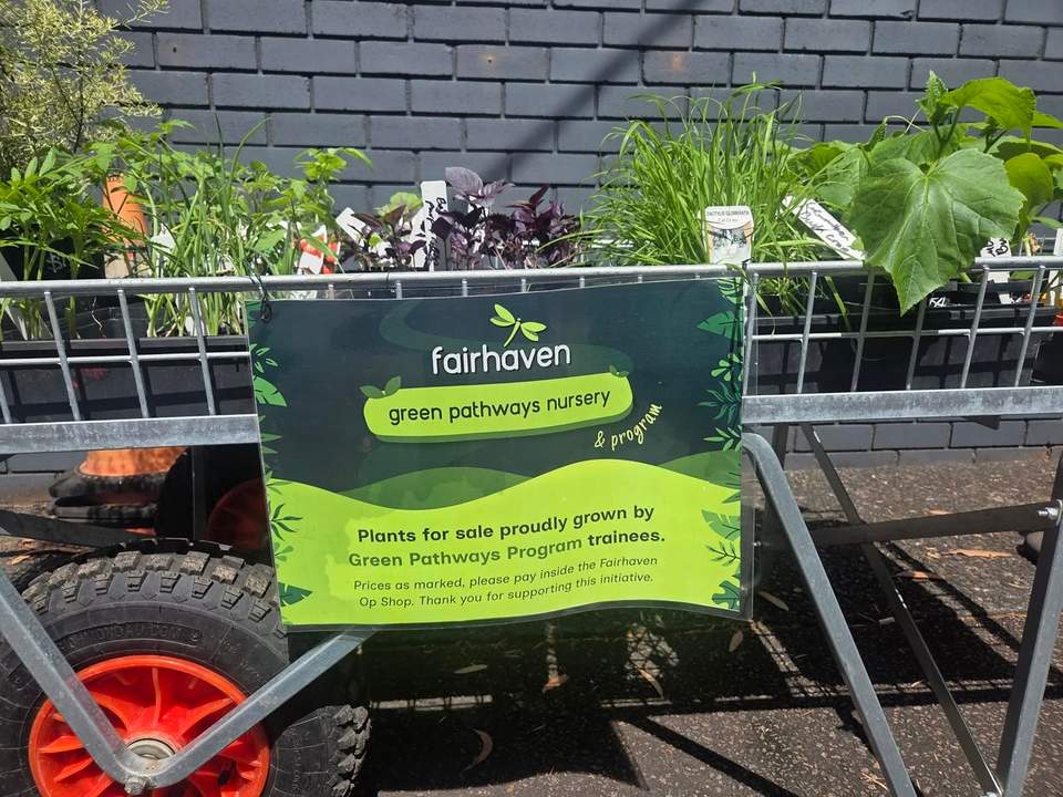 Green thumbs assemble!
Look at these beauties. Fairhaven's Green Pathways Nursery trainees have been hard at work, and the results have officially spilled out onto the trolleys at our Op Shop. We're talking tomatoes galore: Green Zebra, Orange Cherry, and the gloriously named Wapsipinicon Peach, all lovingly grown and ready to move into your veggie patch.
And these aren't just any plants. Every one was proudly grown by our Green Pathways Program trainees, so when you take one home you're supporting some genuinely brilliant people learning real skills. Bargain AND a good deed, our favourite combination.
Now, full disclosure: I am not qualified to comment on plants, because I even killed a cactus. A cactus. The plant famous for surviving on neglect and the occasional harsh glare. Our trainees, meanwhile, are out here raising tomatoes like proud plant parents!
So come grab a plant or three, pop them in the ground, and enjoy the fruits (literally) of their hard work. Prices are as marked, just pay inside the Op Shop.