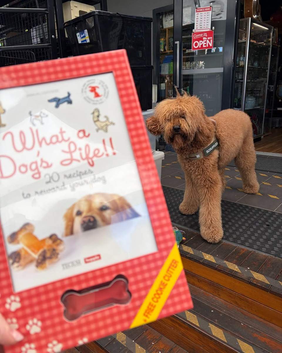 Good morning from the very best boy
The Shed
Open 7 days | 9am to 5pm
NEW: Sip & Shop 5-7pm Fridays
4/1 Dairy Rd, Fyshwick