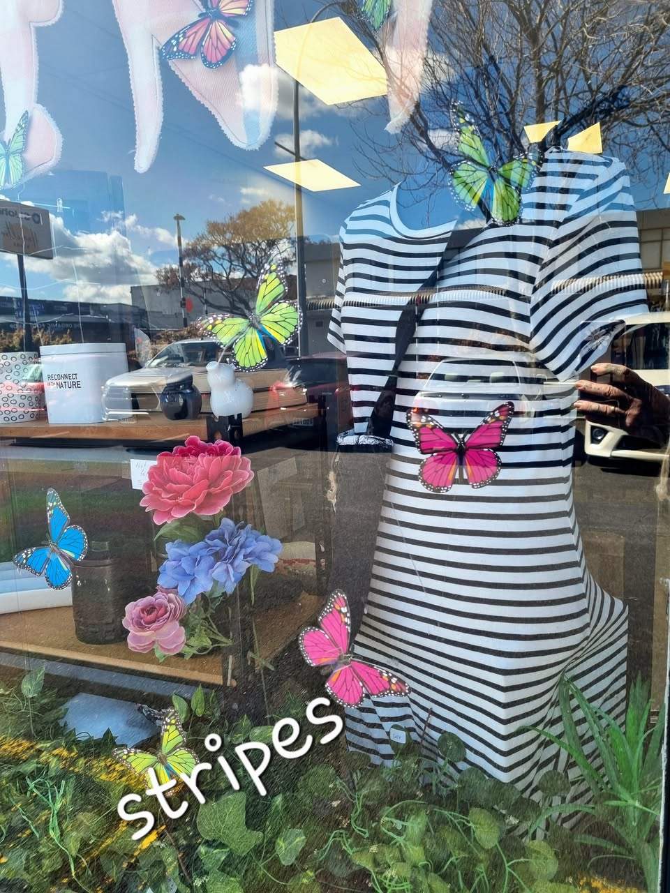 How good is this weather? We have lots of beautiful Spring clothing on our racks. Our fabulous volunteers have been busy sorting and tidying the store, such stars