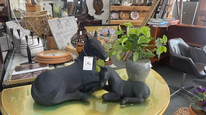 Check out Twice Treasured in Maitland