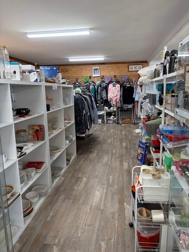 Check out Lions Club of Rosedale Op Shop in Rosedale
