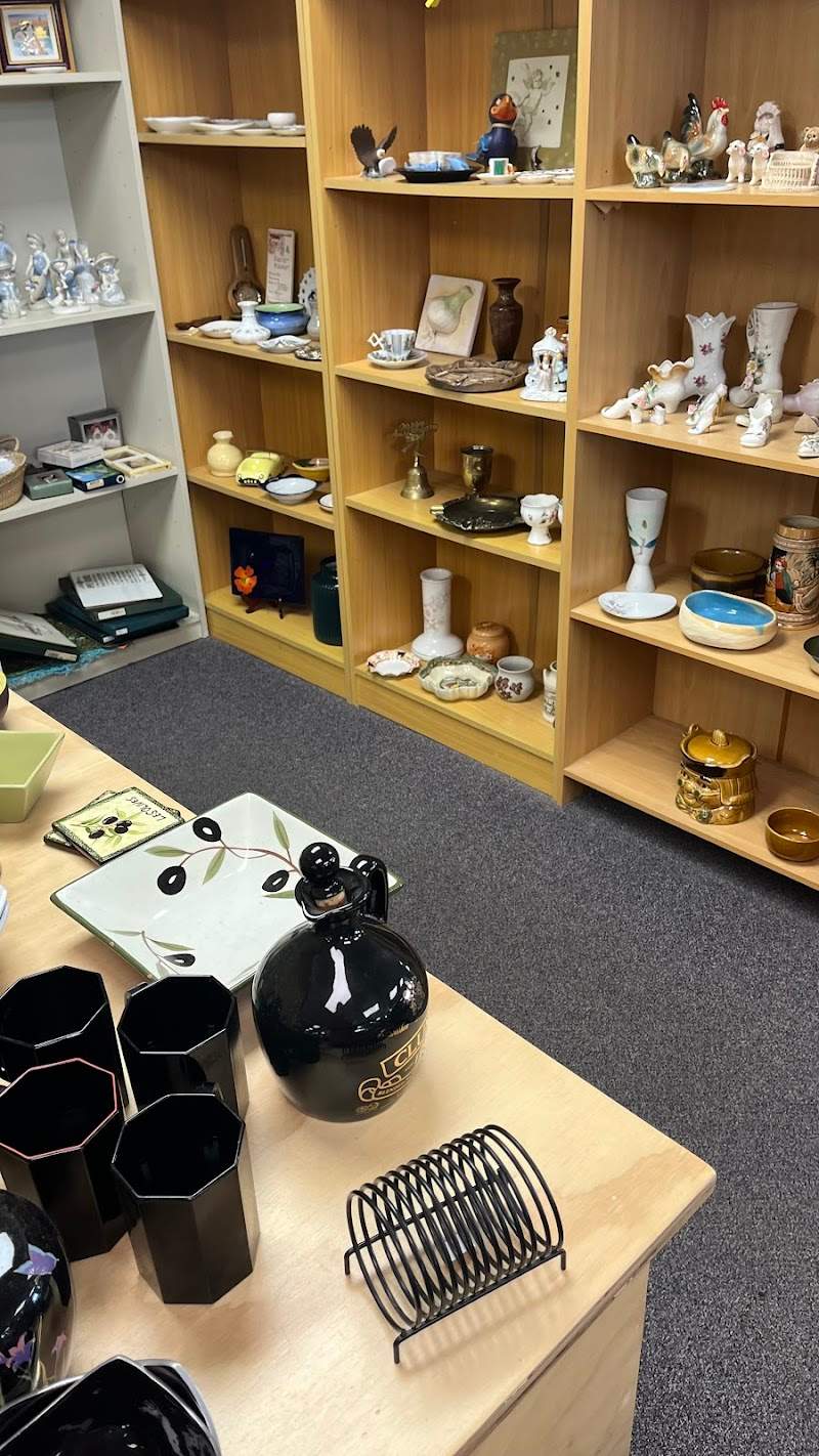 Check out Waipuna Hospice Shop Fraser Street in Parkvale