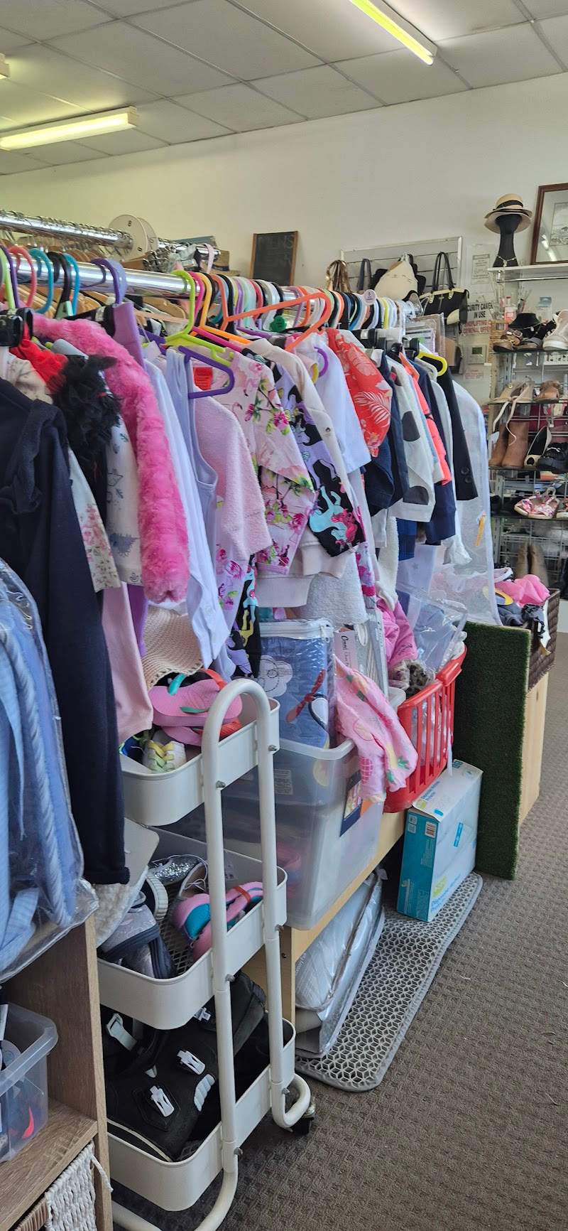 Check out NewLife Thrift Shop Oxley in Oxley