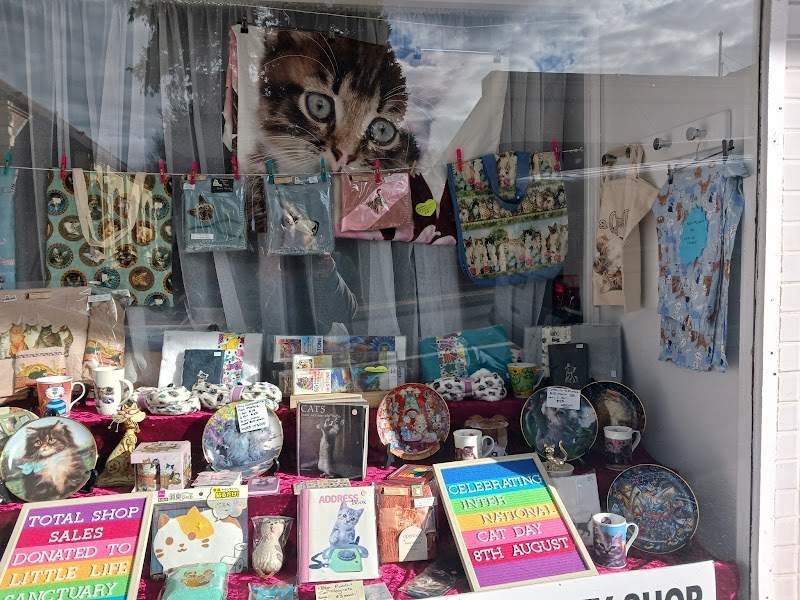 Check out Cat Defence Network in Penrith-Katoomba corridor