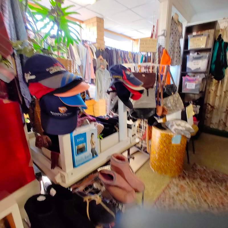 Check out Henley Opportunity Shop in Henley Beach