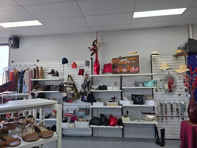 Check out Vinnies Port Kennedy Shop in Port Kennedy