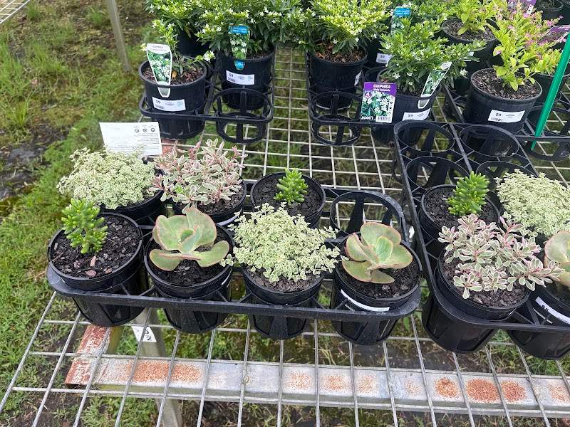 Check out The Salvation Army Watch them Grow Nursery Riverview in Riverview