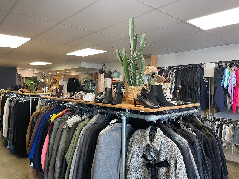 Check out Nine Lives Store in Mount Maunganui