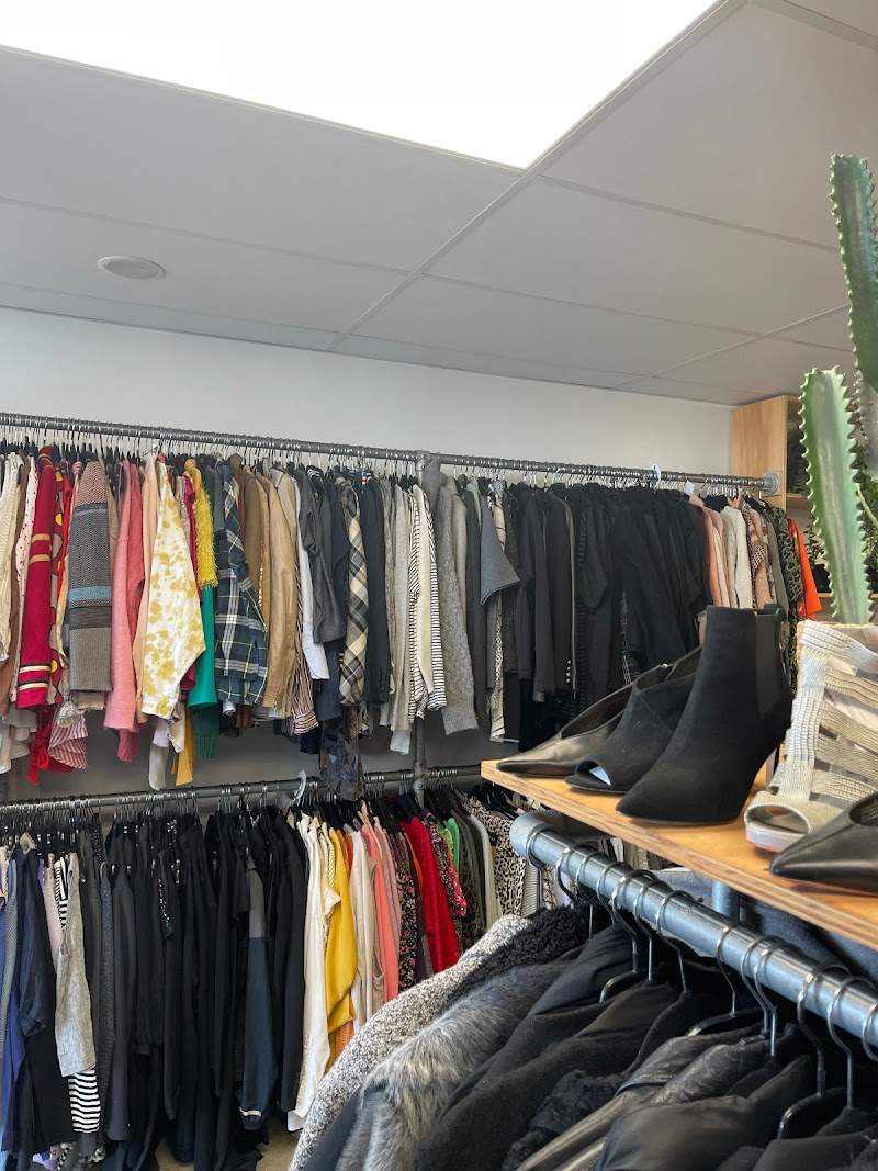 Check out Nine Lives Store in Mount Maunganui