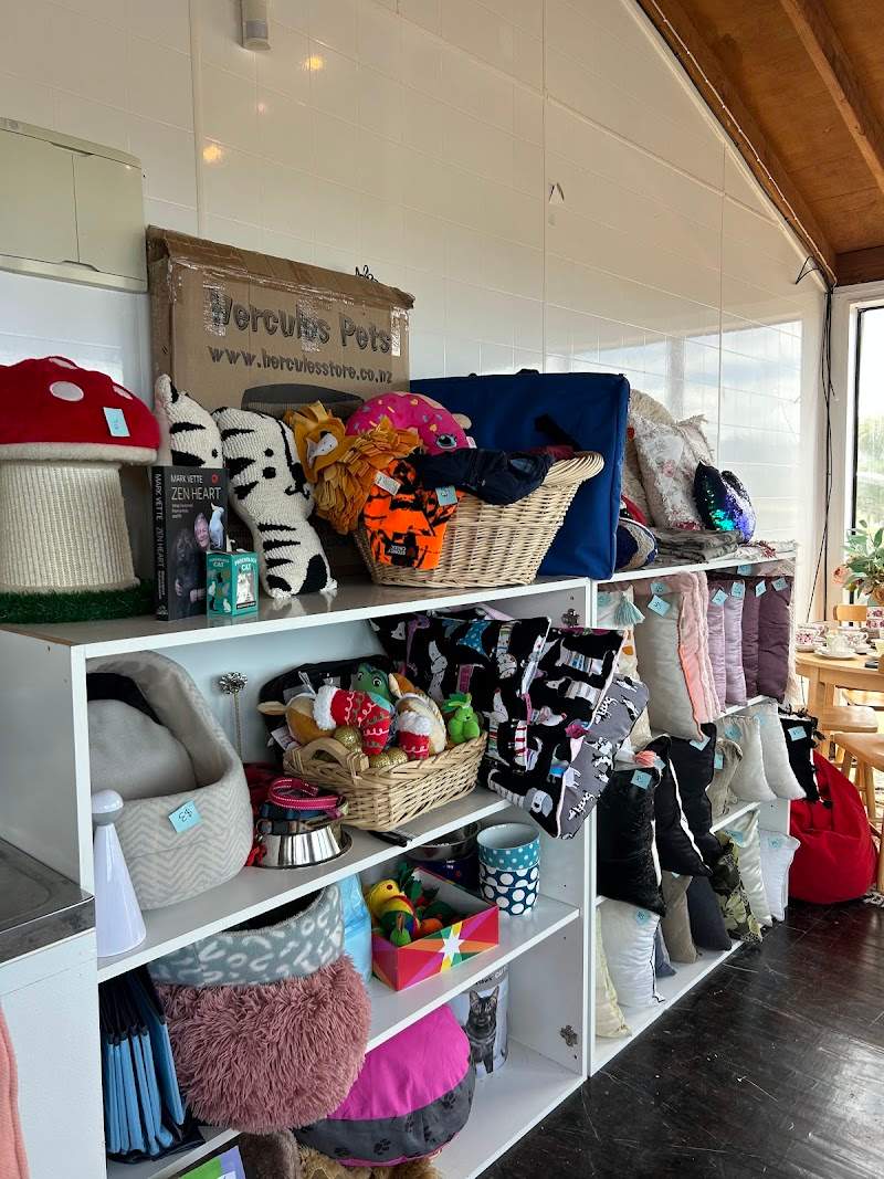 Check out Marlborough Four Paws Op Shop in Grovetown