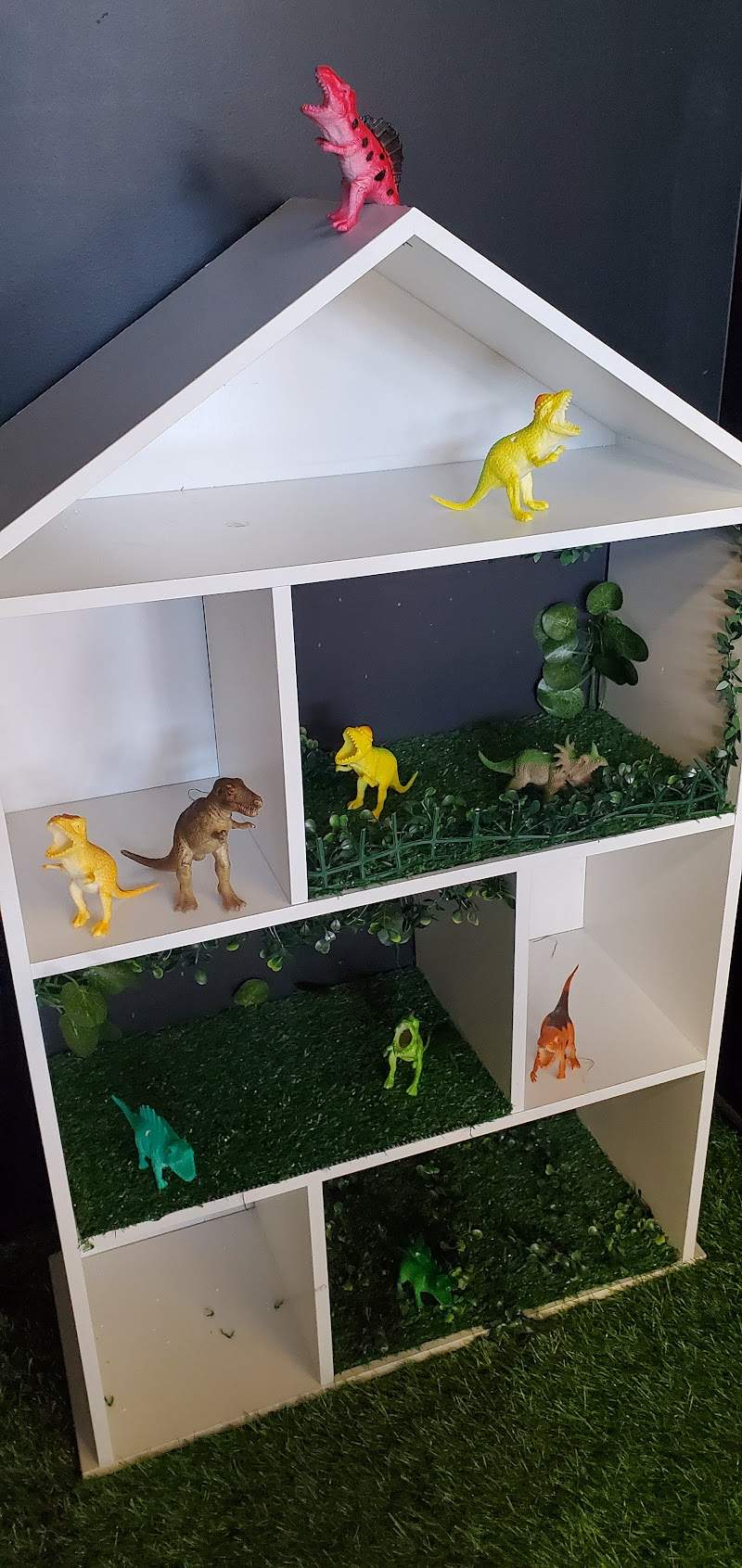 Check out The Vine Op Shop and Pregnancy Choice Center in Whangārei