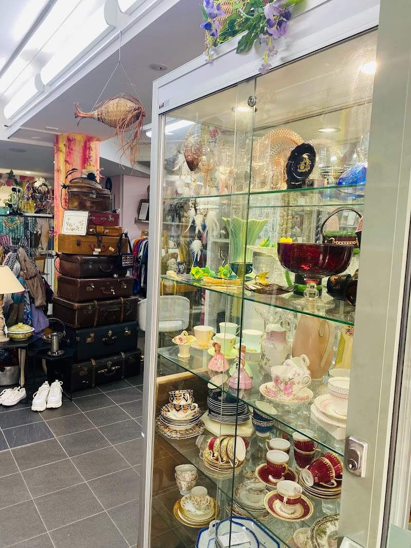 Check out Lifeline Shop Cremorne in Cremorne