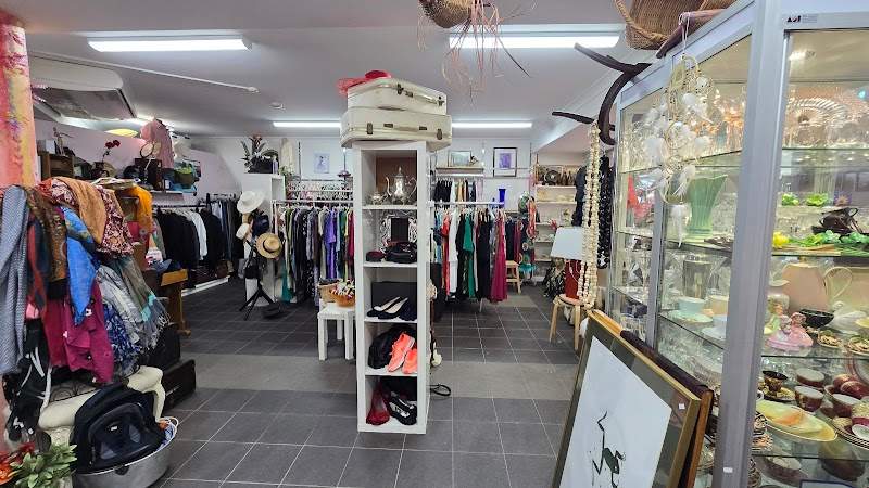 Check out Lifeline Shop Cremorne in Cremorne