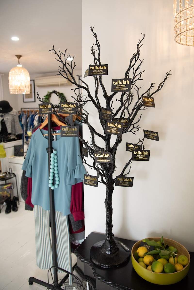 Check out Tallulah Quality Recycled Clothing Boutique in Bethlehem