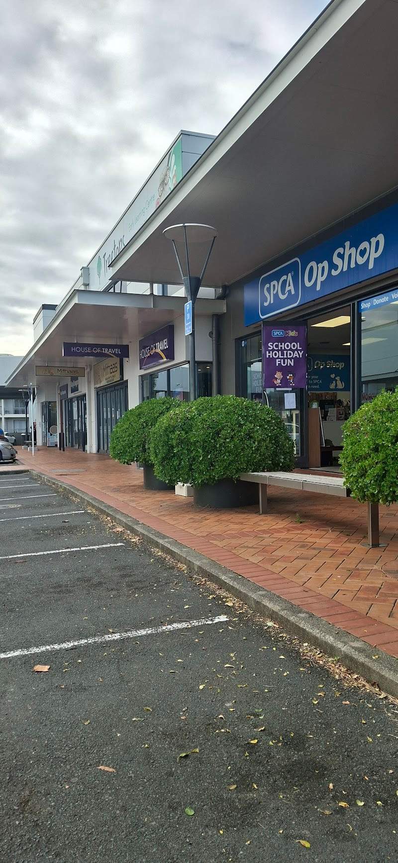 Check out SPCA Op Shop Botany in Flat Bush